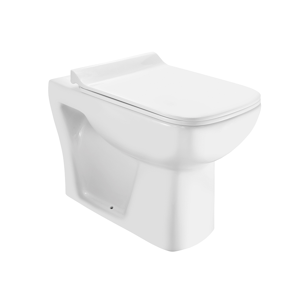 Back to Wall WC